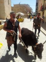 Yak del Tibet
