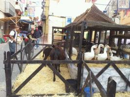 Granja Movil